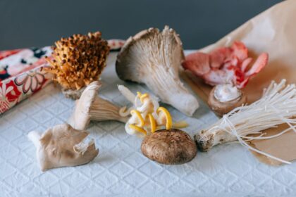 The rise of UK alternative protein companies