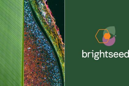 Brightseed and Haleon to accelerate plant-based innovation using AI