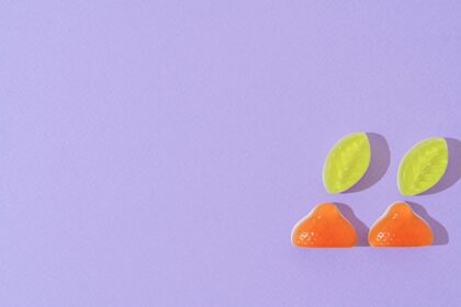 Gelatin can replace plastic in fashion and cool buildings sustainably 