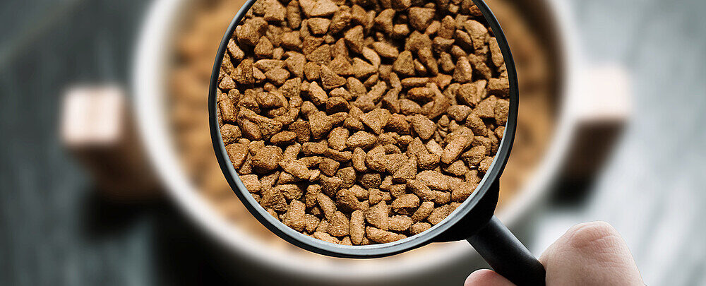 Symrise and Bond to develop next-gen pet proteins using precision ...